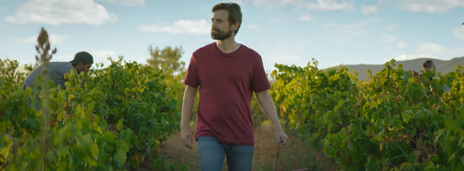Groupama – Belle Histoire Vendanges Solidaires